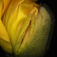/photo////574145/pretty wife/135710274077603[1]_1_1_small.jpg